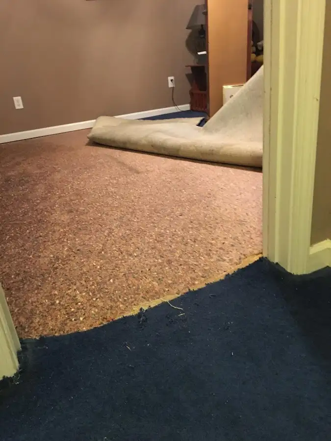 Carpet pad removal revealing water damage during Water Mitigation Services in Northbrook